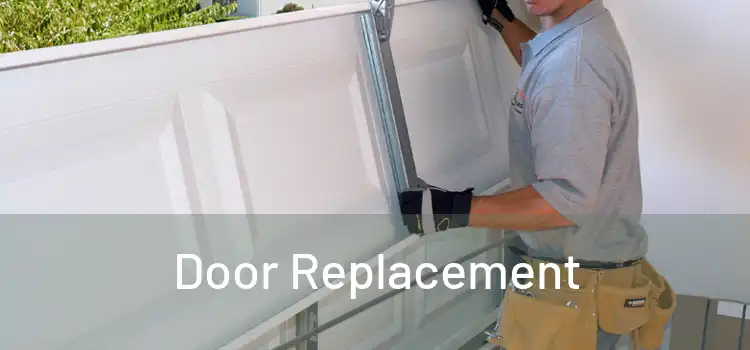  Door Replacement 