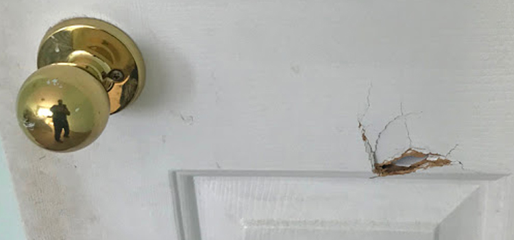 interior door hole repair Discovery Bay
