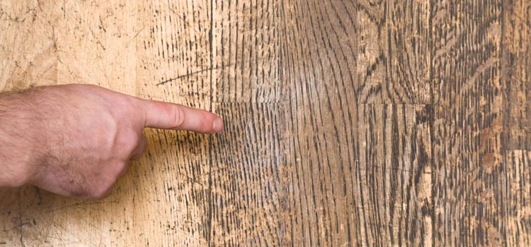 Wood Door Scratch Repair in Discovery Bay